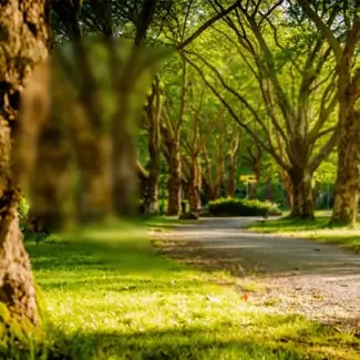 Ocular Miagraines Clinic In Vaughan & Woodbridge